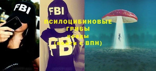 ешки Семёнов