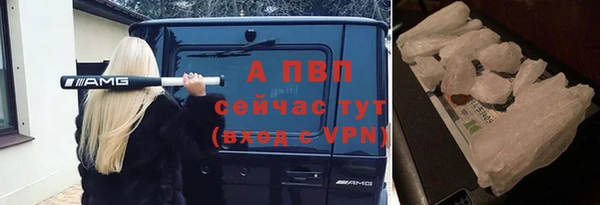 СК Семикаракорск
