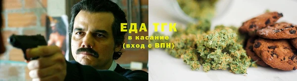 амф Алзамай
