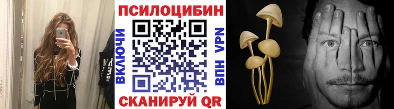 Псилоцибиновые грибы мицелий  Киреевск 