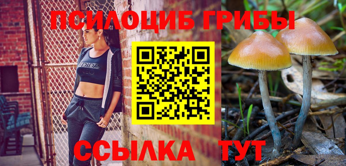 Галлюциногенные грибы мицелий Киреевск