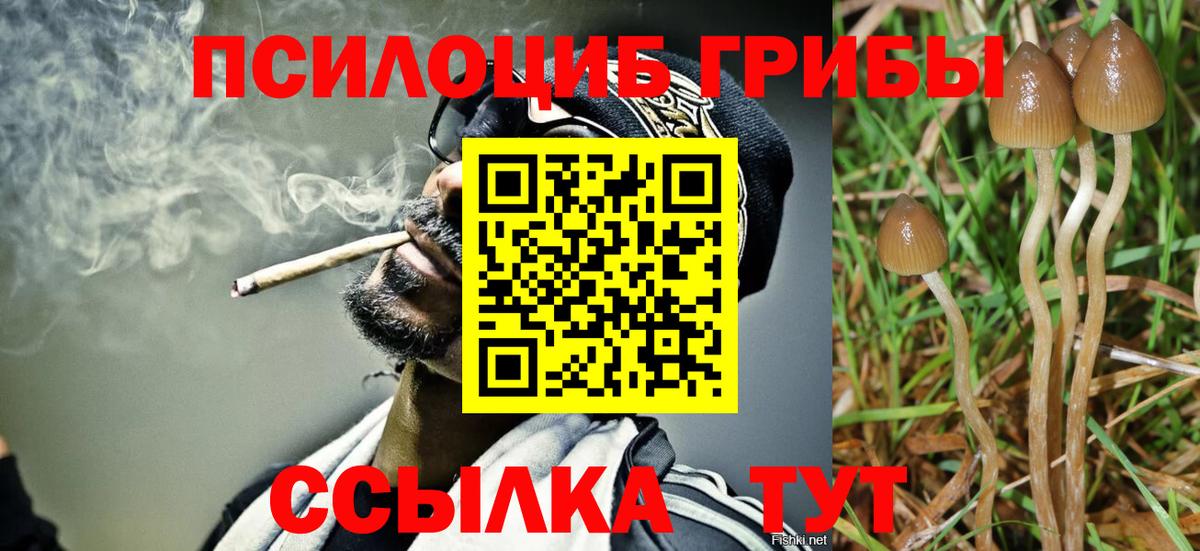 Псилоцибиновые грибы Psilocybe  Галлюциногенные грибы мухоморы  Киреевск  Вход с VPN 