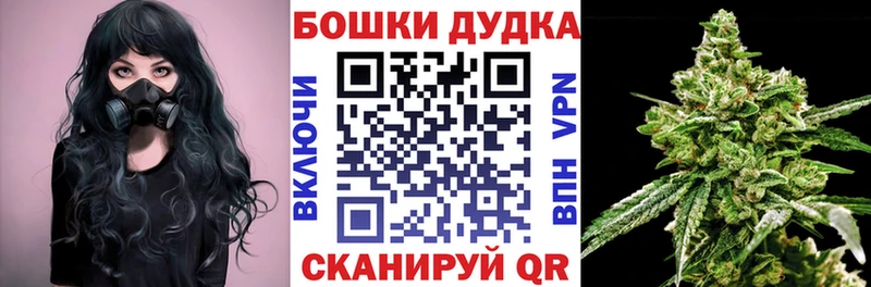 купить наркоту  Киреевск  МЕГА ССЫЛКА  Каннабис семена 